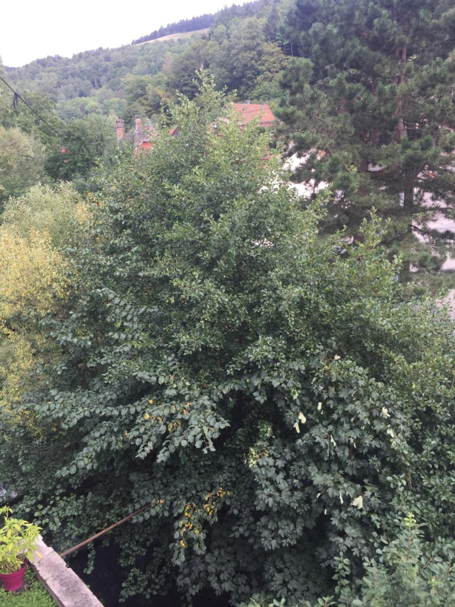 Chambres D'Hotes A La Fecht Nature Et Bien-Etre Sondernach Экстерьер фото