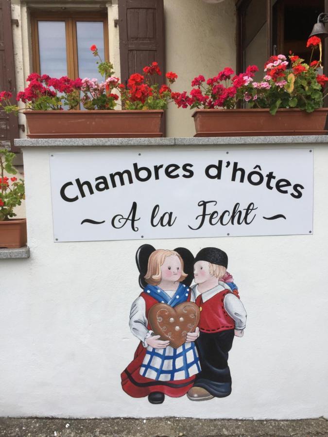 Chambres D'Hotes A La Fecht Nature Et Bien-Etre Sondernach Экстерьер фото
